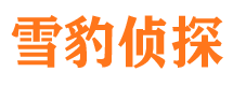 柳城侦探公司